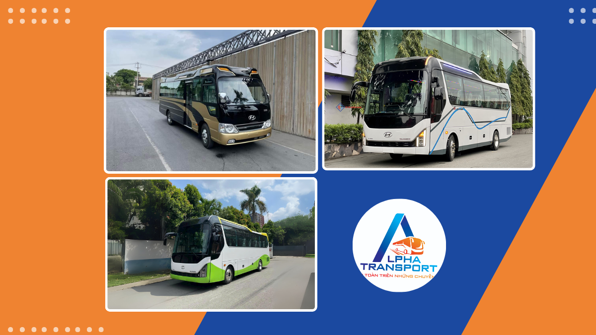 thue-xe-29-cho-quy-nhon-03